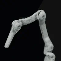 Articulated Fingers (Default)