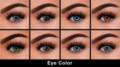 眼睛Eye color