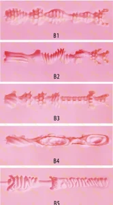 身体定制Vagina texture of realistic sex doll