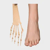 Toe Bones